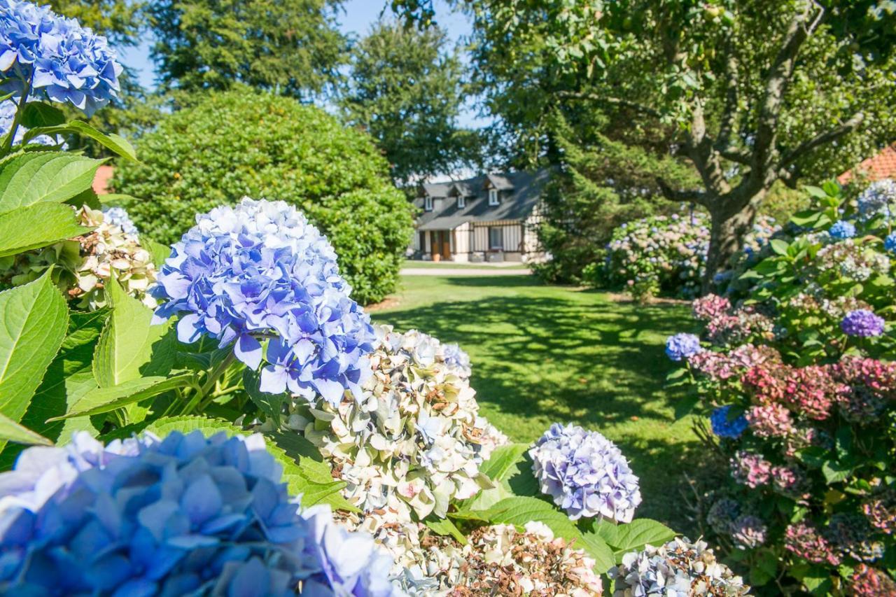 Clos Celeste - Campagne D Etretat Avec Piscine Et Spa Ecrainville Экстерьер фото